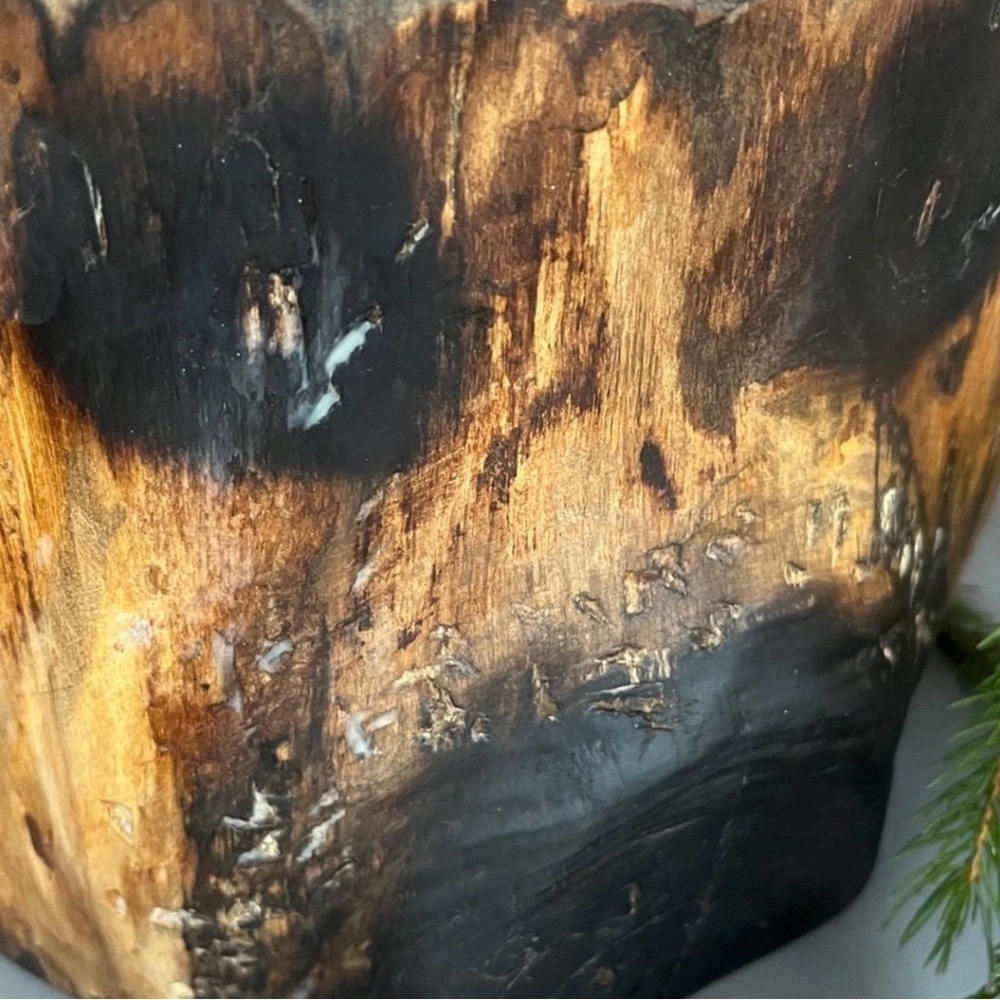 Unique Bear Face From Reclaimed Wooden Log Shelf Sitter Decor Free Standing - Picture 2 of 9